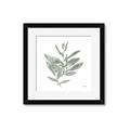 Picture of Leafy Look I _GroupedProduct_Square_Framed_Matted_