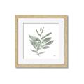 Picture of Leafy Look I _GroupedProduct_Square_Framed_Matted_