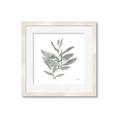 Picture of Leafy Look I _GroupedProduct_Square_Framed_Matted_