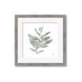 Picture of Leafy Look I _GroupedProduct_Square_Framed_Matted_