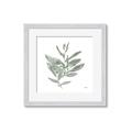 Picture of Leafy Look I _GroupedProduct_Square_Framed_Matted_