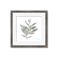 Picture of Leafy Look I _GroupedProduct_Square_Framed_Matted_