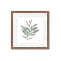 Picture of Leafy Look I _GroupedProduct_Square_Framed_Matted_