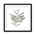 Picture of Leafy Look I _GroupedProduct_Square_Framed_Matted_