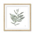Picture of Leafy Look I _GroupedProduct_Square_Framed_Matted_