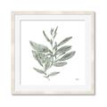 Picture of Leafy Look I _GroupedProduct_Square_Framed_Matted_