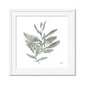 Picture of Leafy Look I _GroupedProduct_Square_Framed_Matted_