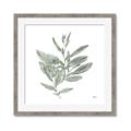 Picture of Leafy Look I _GroupedProduct_Square_Framed_Matted_