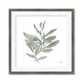Picture of Leafy Look I _GroupedProduct_Square_Framed_Matted_