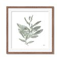Picture of Leafy Look I _GroupedProduct_Square_Framed_Matted_
