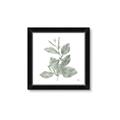 Picture of Leafy Look II _GroupedProduct_Square_Framed_Matted_