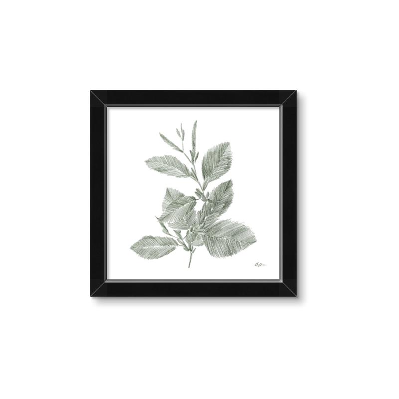 Picture of Leafy Look II _GroupedProduct_Square_Framed_Matted_