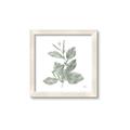 Picture of Leafy Look II _GroupedProduct_Square_Framed_Matted_