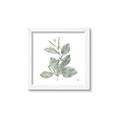 Picture of Leafy Look II _GroupedProduct_Square_Framed_Matted_