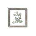 Picture of Leafy Look II _GroupedProduct_Square_Framed_Matted_