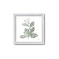 Picture of Leafy Look II _GroupedProduct_Square_Framed_Matted_