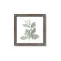 Picture of Leafy Look II _GroupedProduct_Square_Framed_Matted_