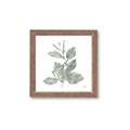 Picture of Leafy Look II _GroupedProduct_Square_Framed_Matted_
