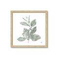 Picture of Leafy Look II _GroupedProduct_Square_Framed_Matted_