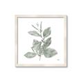 Picture of Leafy Look II _GroupedProduct_Square_Framed_Matted_