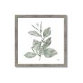 Picture of Leafy Look II _GroupedProduct_Square_Framed_Matted_