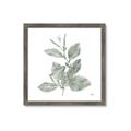 Picture of Leafy Look II _GroupedProduct_Square_Framed_Matted_