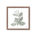 Picture of Leafy Look II _GroupedProduct_Square_Framed_Matted_