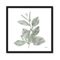 Picture of Leafy Look II _GroupedProduct_Square_Framed_Matted_