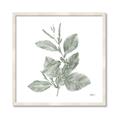 Picture of Leafy Look II _GroupedProduct_Square_Framed_Matted_