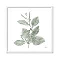 Picture of Leafy Look II _GroupedProduct_Square_Framed_Matted_