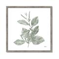 Picture of Leafy Look II _GroupedProduct_Square_Framed_Matted_