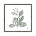 Picture of Leafy Look II _GroupedProduct_Square_Framed_Matted_