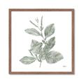 Picture of Leafy Look II _GroupedProduct_Square_Framed_Matted_