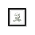 Picture of Leafy Look II _GroupedProduct_Square_Framed_Matted_