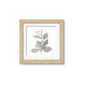 Picture of Leafy Look II _GroupedProduct_Square_Framed_Matted_
