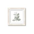 Picture of Leafy Look II _GroupedProduct_Square_Framed_Matted_