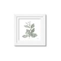 Picture of Leafy Look II _GroupedProduct_Square_Framed_Matted_