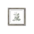 Picture of Leafy Look II _GroupedProduct_Square_Framed_Matted_