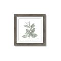 Picture of Leafy Look II _GroupedProduct_Square_Framed_Matted_