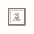 Picture of Leafy Look II _GroupedProduct_Square_Framed_Matted_