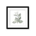 Picture of Leafy Look II _GroupedProduct_Square_Framed_Matted_