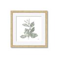 Picture of Leafy Look II _GroupedProduct_Square_Framed_Matted_