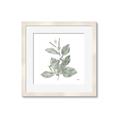 Picture of Leafy Look II _GroupedProduct_Square_Framed_Matted_