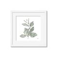Picture of Leafy Look II _GroupedProduct_Square_Framed_Matted_