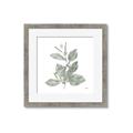 Picture of Leafy Look II _GroupedProduct_Square_Framed_Matted_