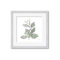 Picture of Leafy Look II _GroupedProduct_Square_Framed_Matted_