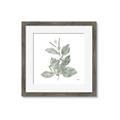 Picture of Leafy Look II _GroupedProduct_Square_Framed_Matted_