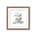 Picture of Leafy Look II _GroupedProduct_Square_Framed_Matted_