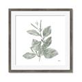 Picture of Leafy Look II _GroupedProduct_Square_Framed_Matted_