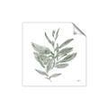 Picture of Leafy Look I _GroupedProduct_Square_Unframed_Print_Only_